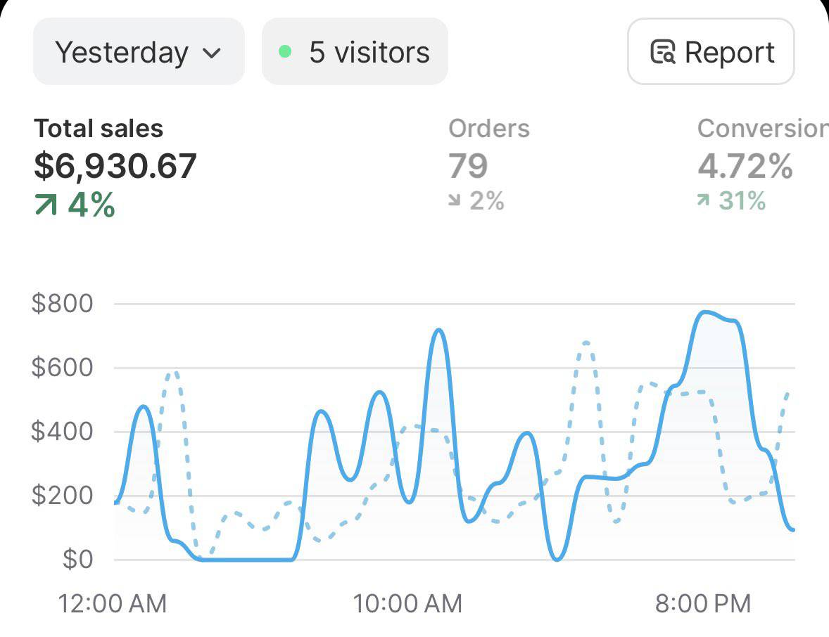 Digital Dropshipping Launch System™