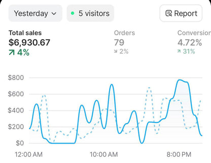 Digital Dropshipping Launch System™