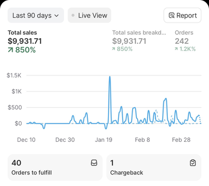 Digital Dropshipping Launch System™